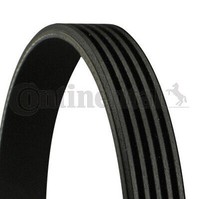 5PK975 Continental Ctam Riemen Poly-V FüR Alfa Romeo, Bmw, CitroëN, Daewoo,