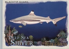 2021 Topps Allen & Ginter's - Deep Sea Shiver #DSS-8 Blacktip Shark