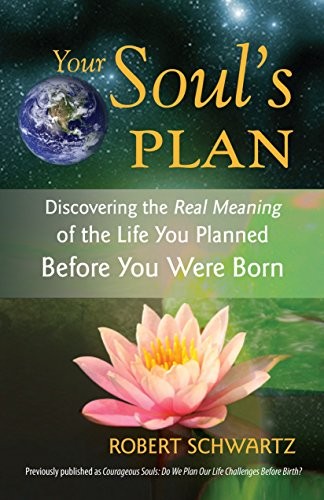 Your Soul's Plan: Discovering the Real Meaning of the Life You P