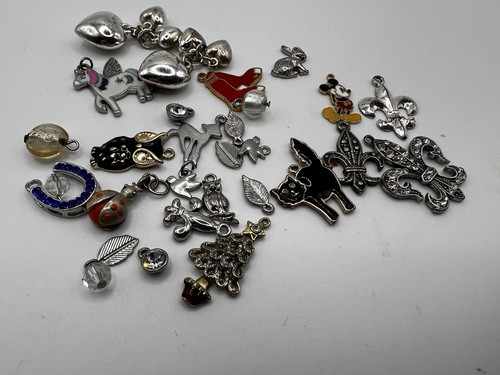 Lotto ciondoli gioielli 29 pezzi per realizzare bracciali charm e artigianato - Foto 4 di 4
