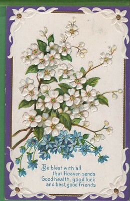 Vintage Postcard Delicate Flowers Be Blest with all that Heaven Sends 1913