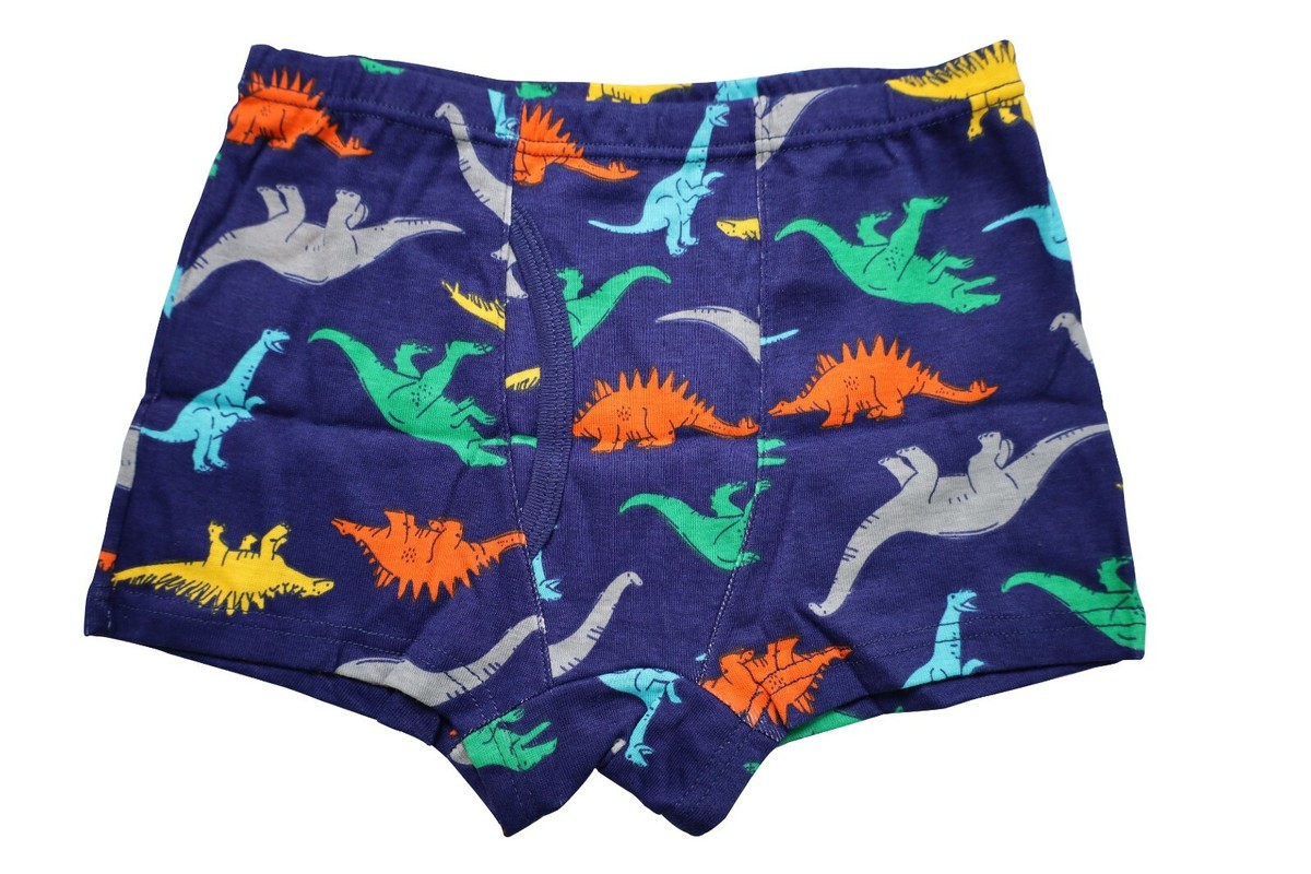 Culottes Garçon Dinosaure QIYIENDIAN - Lot De 9 En Coton 100% - Tailles 3-10 Ans