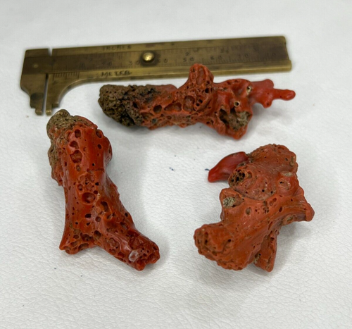 Pierre Précieuse En Corail Rouge Naturel Poli - Forme Branche, 20 Carats, Qualité Exceptionnelle, Provenance Italie/Inde