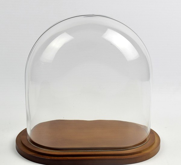Oval Glass Dome With Wooden Brown Base H:20 x 20 x 12 cm