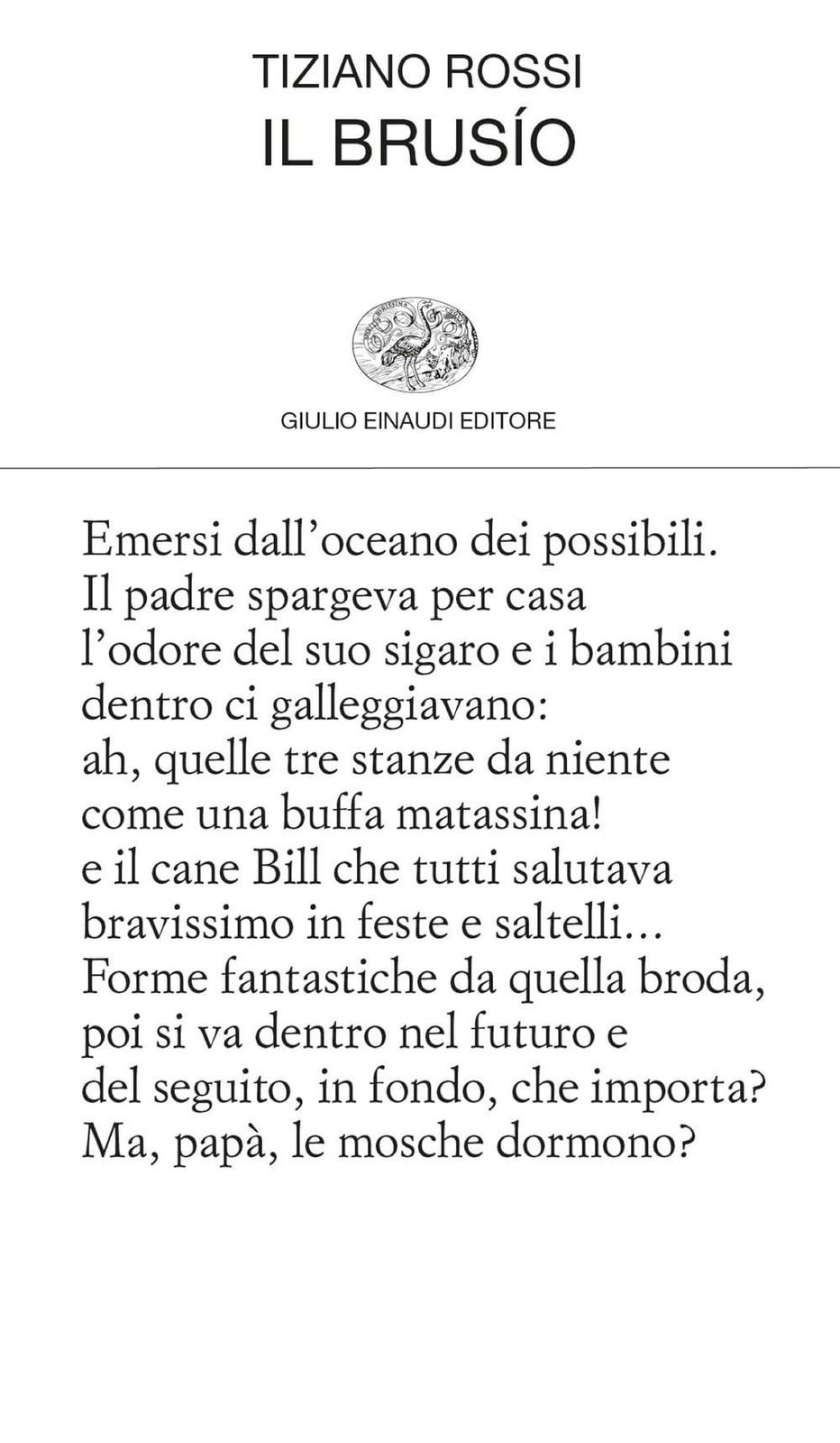 Libri Tiziano Rossi - Il Brusio - Immagine 3