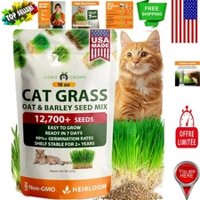 1 lb Non-GMO Heirloom Cat Grass Seeds - Grow Fresh Chewy Treats for Kittens