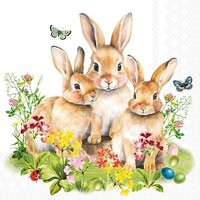 20 Servietten Bunny Family Hasenfamilie Blumen Garten Tiere Ostern Wiese 33X33Cm