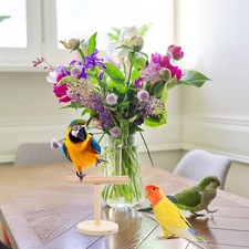 Natural Wood Perch Stand Parrot Cage Branch for Birds Perches Parrots