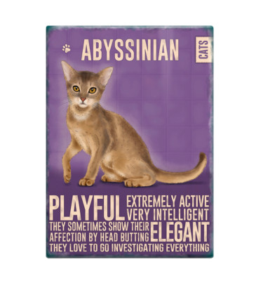 Abessinierkatze lustig süß Neuheit Spaß Kühlschrankmagnet Katzenliebhaber & Kühlschränke