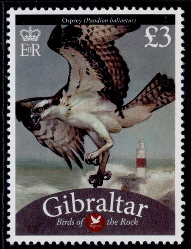 GIBRALTAR 2008-12 Birds MNH singles. SG1248-1260. CHOOSE FROM LIST - Picture 10 of 34
