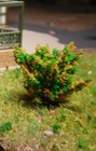 Picture 9 of 12