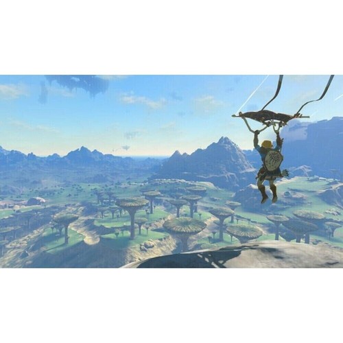 The Legend of Zelda Tears of the Kingdom - Nintendo Switch - Picture 4 of 8