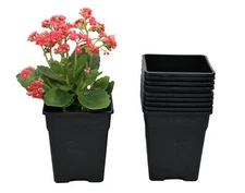 Square Nursery Pots 0.5 Gallon with Drainage Holes 10-Pack 4.75 Inch Wide