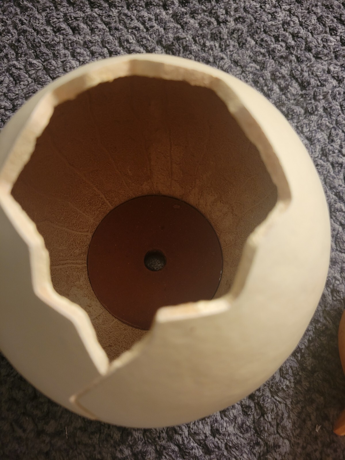 Picture 5 of 5