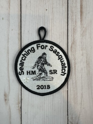 Retired Boy Scout Patches, Pick Your Patch! Variety To Choose From! - Picture 11 of 70