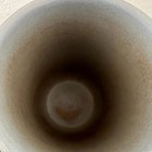 Bild 8 von 12