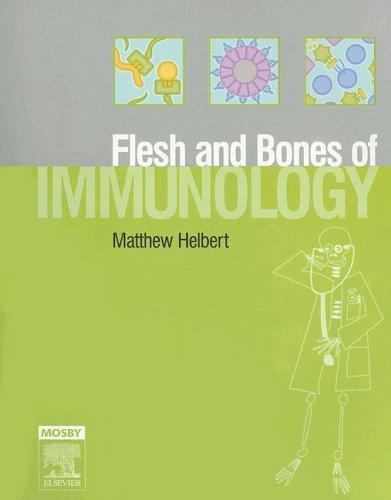 Flesh and Bones Ser.: Flesh and Bones of Immunology by Matthew Helbert ...