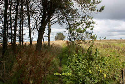 Foto 6x4 Trenseweg nach Saltergate Brow Levisham Richtung Norden. c2014