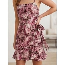 Express Pink and Brown Ruffled Tie Front Mini Dress