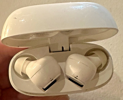 Soundcore Wireless Earbuds with Charging Case