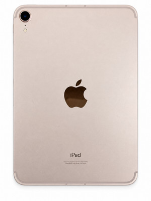 Apple iPad mini 6th Gen A2568 256GB Wi-Fi + Cellular UNLOCKED Pink Fully Working
