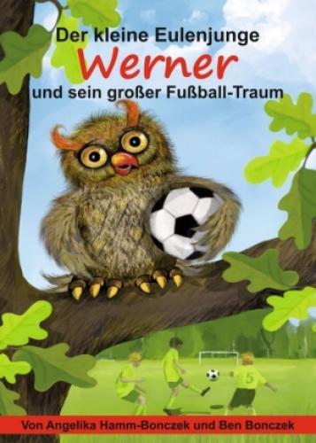 Thumbnail - Der Kleine Eulenjunge Werner Und Sein Großer Fußball-traum 6380