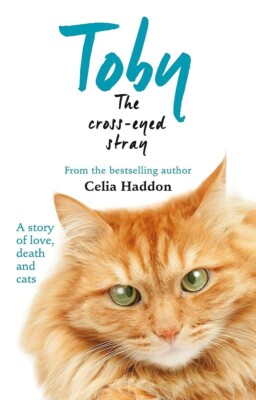 Toby The Cross-Eyed Stray Cat by Celia Haddon (Paperback) Book New