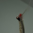 Picture 3 of 5