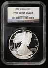 Photo of a 2006-W American Silver Eagle Proof from an eBay listing that sold on Jan 5, 2026