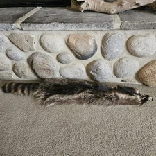 VTG Tanned Raccoon Pelt w/Tail Native American Tribal Ceremonial Regalia 36"