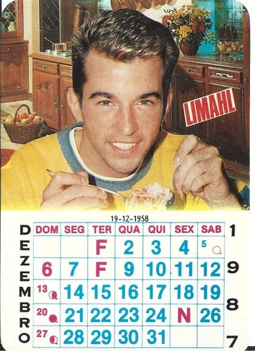 ⭕VTG card pocket calendar 1987 LIMAHL Portugal group music singer