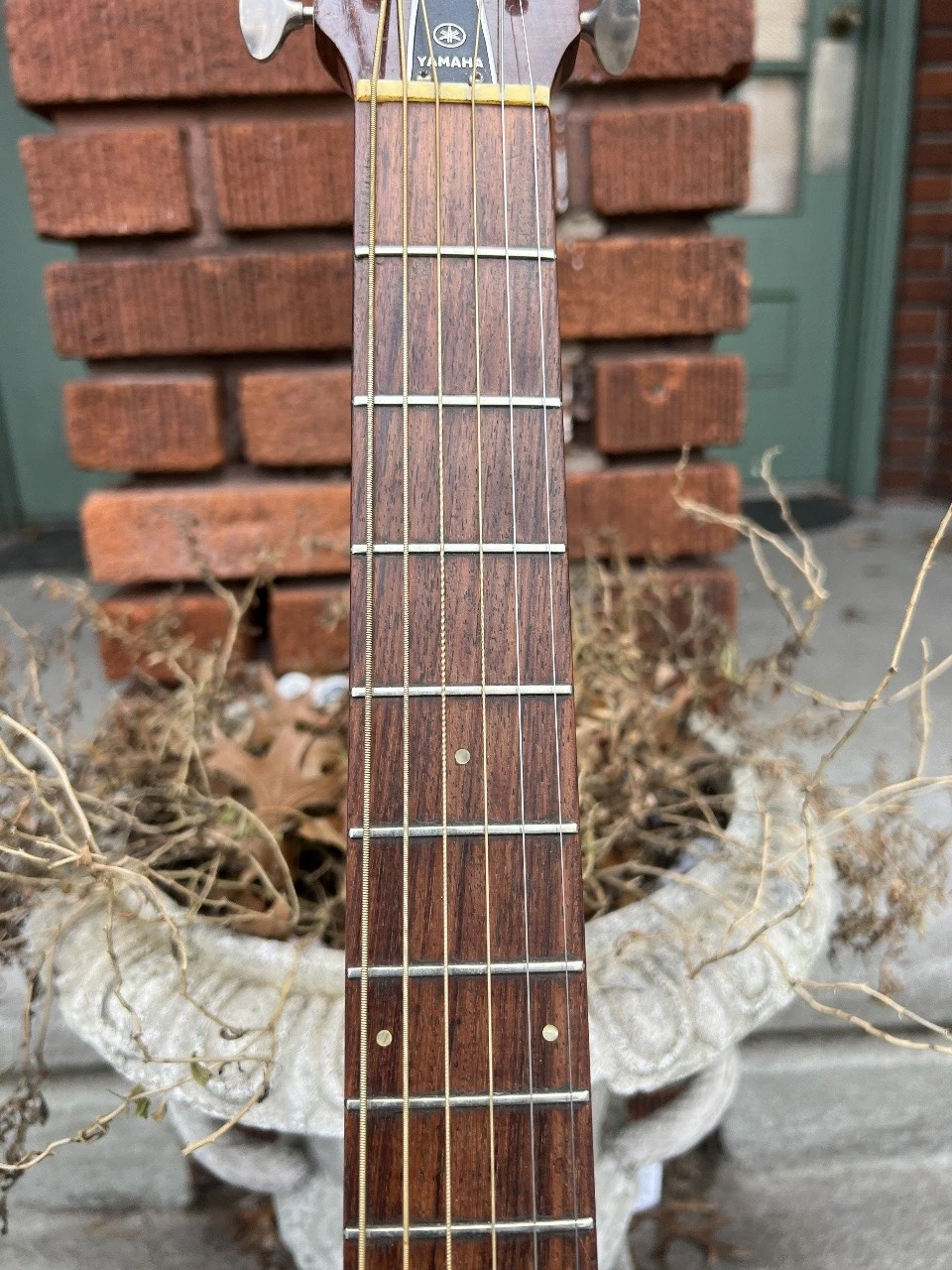 Picture 8 of 18