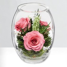 Fiora Flower  Long Lasting Real Roses in a Sealed Vase  Lasts up to 5 Years...