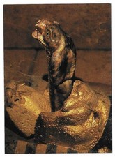 1996 Topps Goosebumps The Curse of the Mummy's Tomb: Snake Card #49