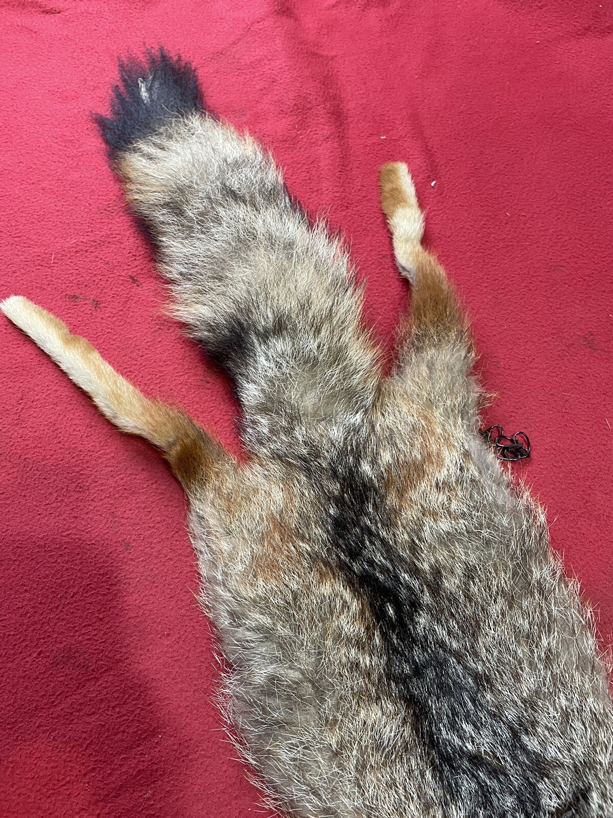 Vintage "American" Red Fox Fur Stole 1940’s, not UK Fox eBay