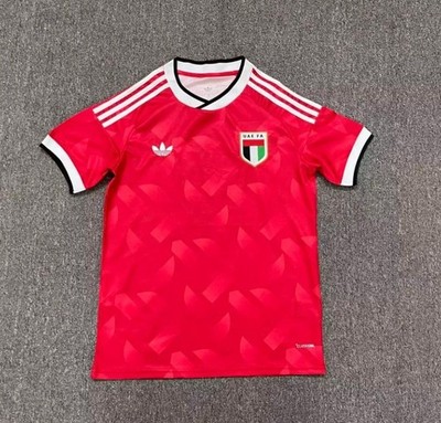 United Arab Emirates national team Away 2026 Men Jersey