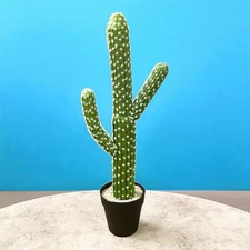 Artificial Cactus Succulent Plant 24” Home Or Office Decor With Black Planter