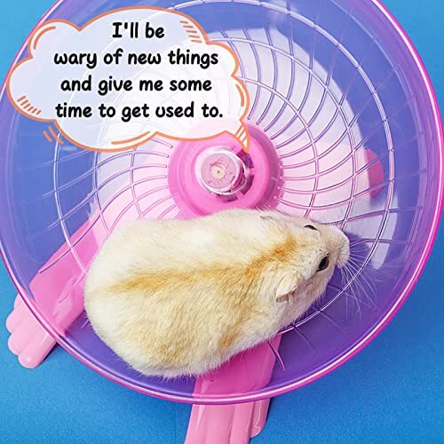 Hermit Crab Wheel Super Silent Hamster Wheels Inch Quiet