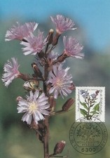 Maximumkarte BRD 13. Oktober 1983: Wohlfahrtsmarke Der Alpen-Milchlattich