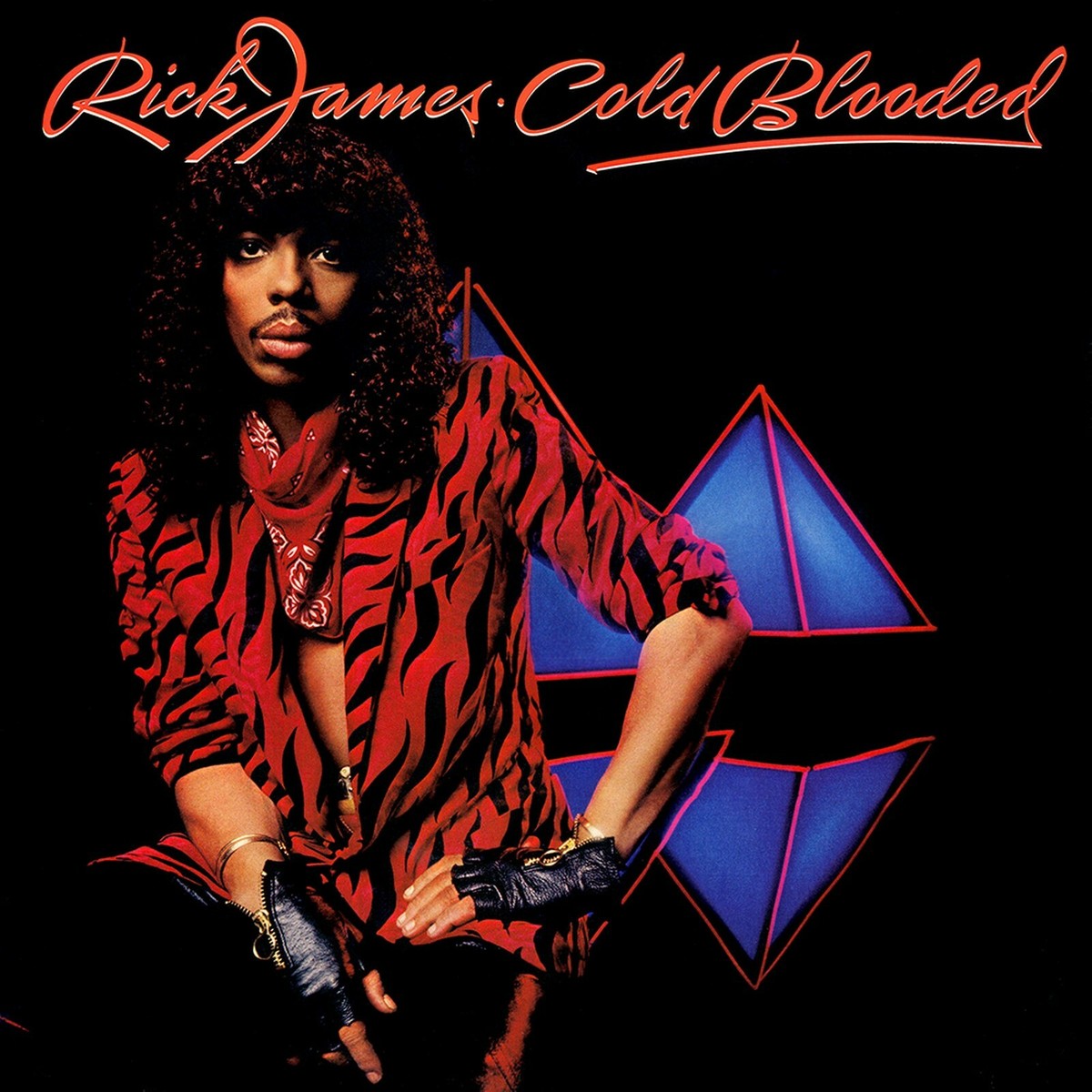 RICK JAMES Cold Blooded BANNER 2x2 Ft Fabric Poster Tapestry Flag