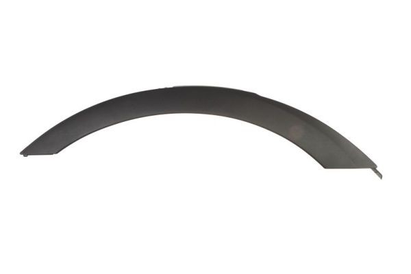Right Rear BLIC 5703-04-0093596P Trim/Protection Strip, wing for BMW