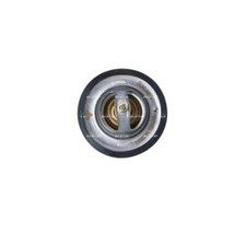 Thermostat Fiat 131