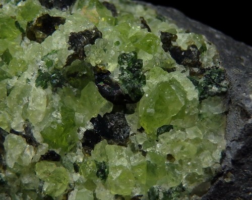 OLIVINE - FORSTERITE PERIDOT xenolite in basalt -- CZECH REP. Smrčí /pi688 - Picture 3 of 18