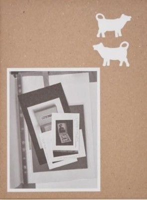 Susan Hiller Working Through Objects (Taschenbuch) (US IMPORT)