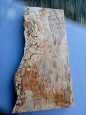 XXL MIND BLOWING SPALTED AMBROSIA Maple Burl wood STABILIZING EPOXY WOOD SLAB 