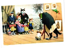Oversized Postcard Dressed Cats Group Photo Shoot