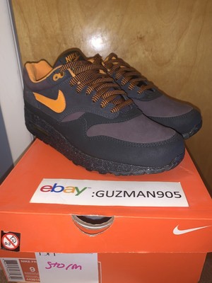 air max 1 storm 2002