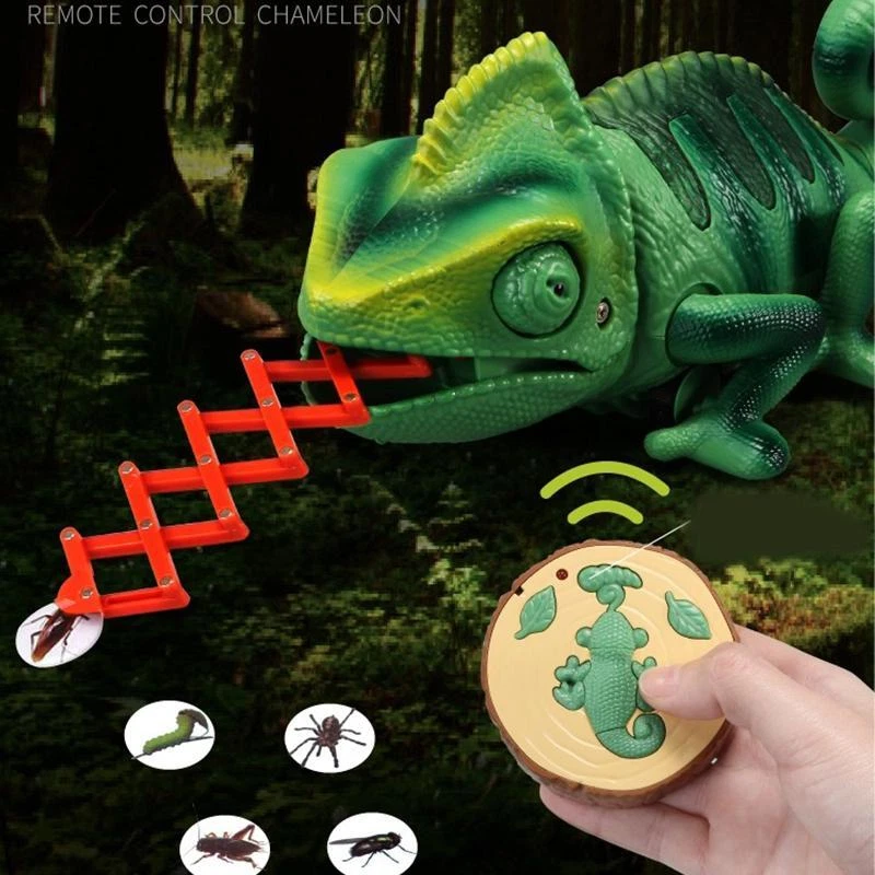 Chameleon lizard cheap pet