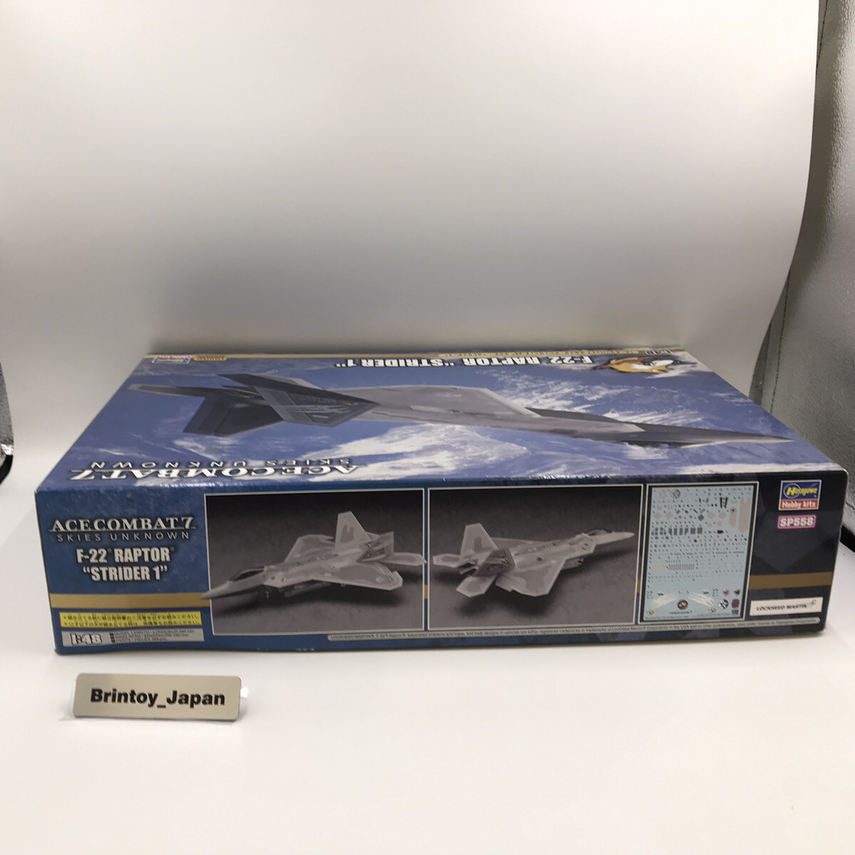 Hasegawa 1/48 Ace Combat 7 Skies Unknown F-22 Raptor Strider