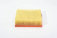 Luftfilter S9061 Bosch 1457429061